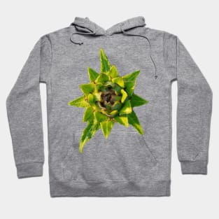 Vegetable Hoodie